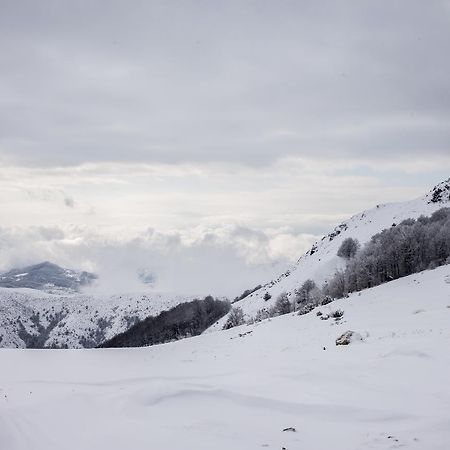 Holiday Home Floris Kopaonik Dış mekan fotoğraf