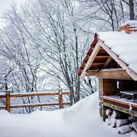 Holiday Home Floris Kopaonik Dış mekan fotoğraf