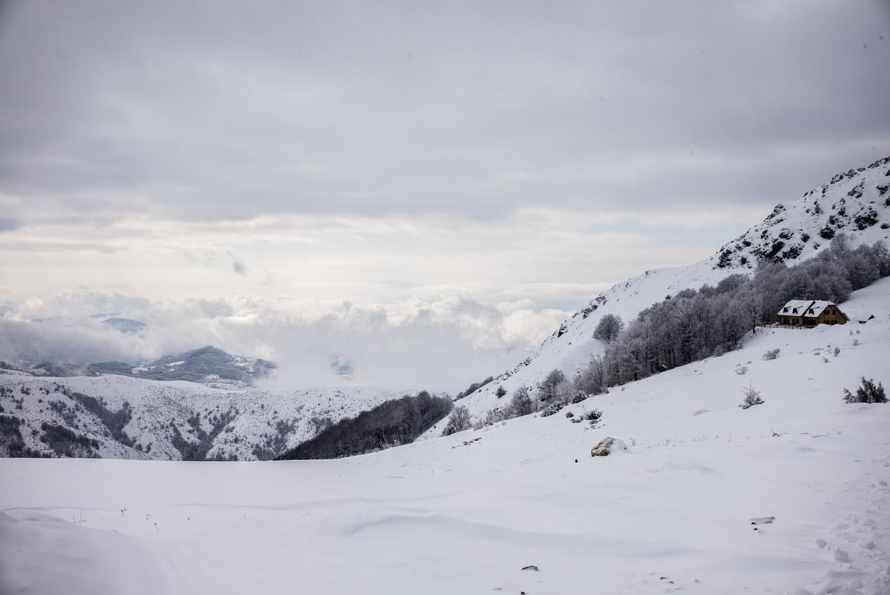 Holiday Home Floris Kopaonik Dış mekan fotoğraf