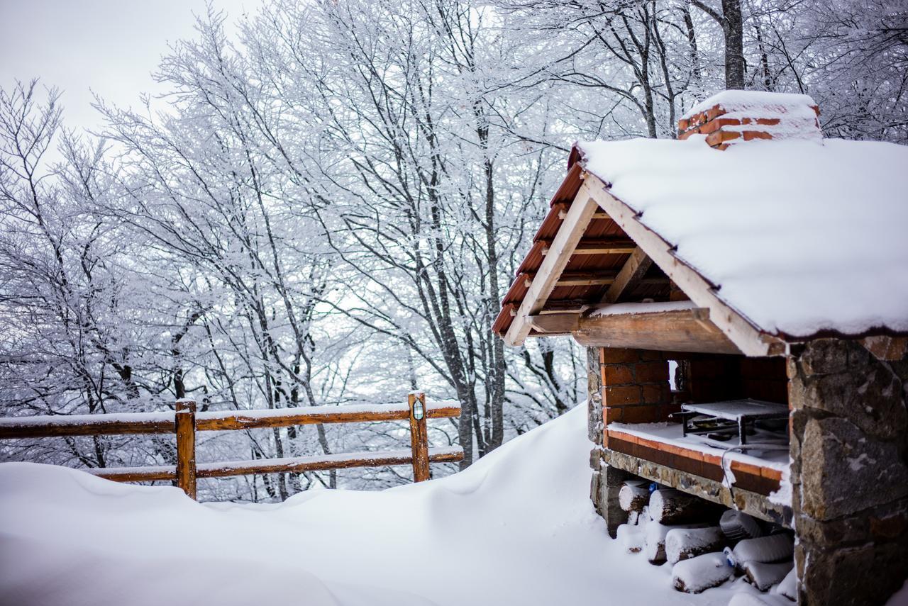 Holiday Home Floris Kopaonik Dış mekan fotoğraf