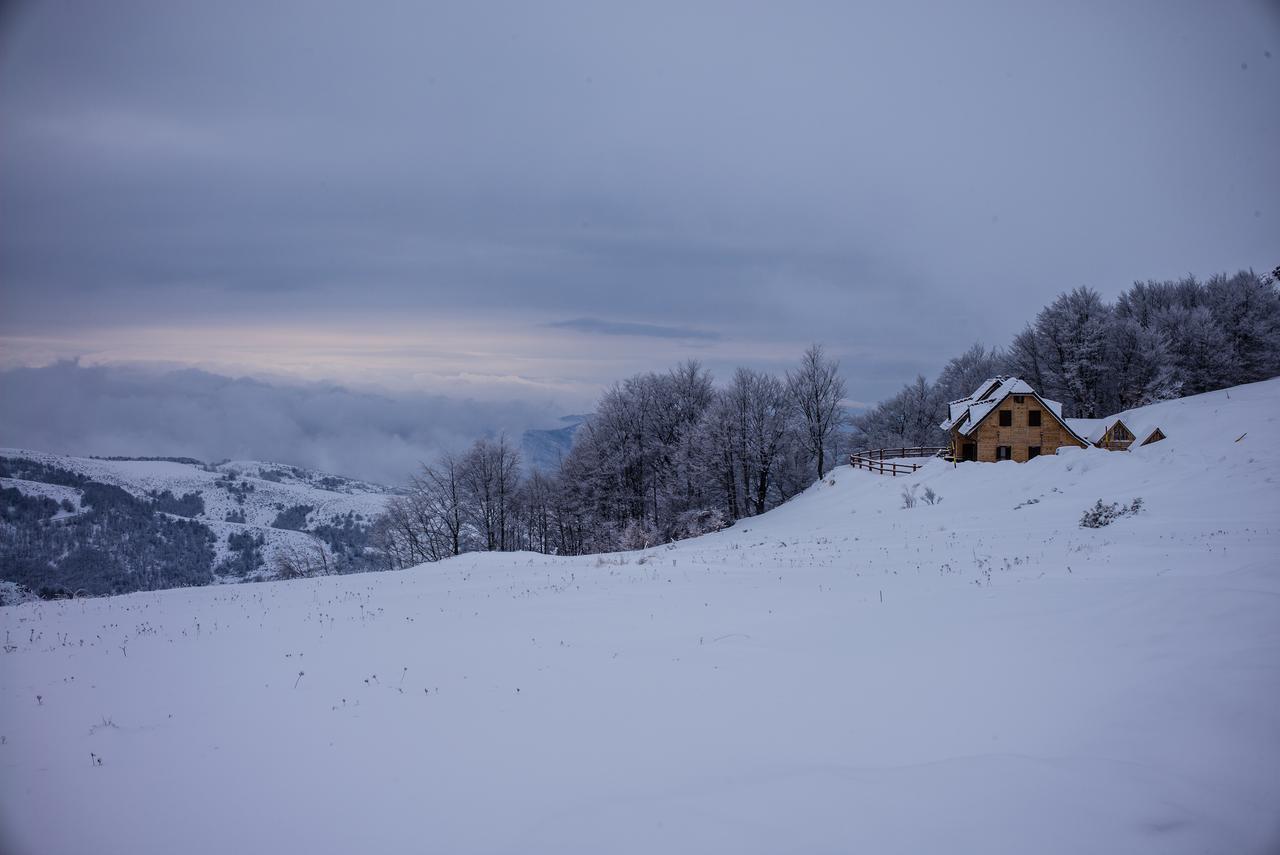 Holiday Home Floris Kopaonik Dış mekan fotoğraf